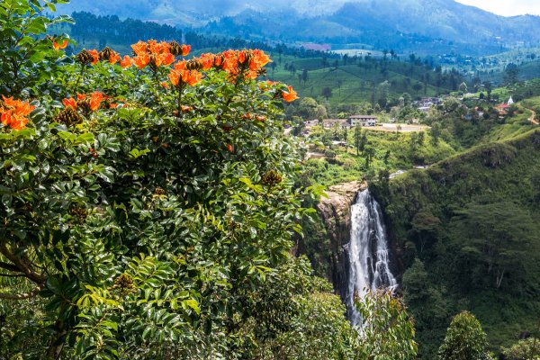 Nuwara Eliya