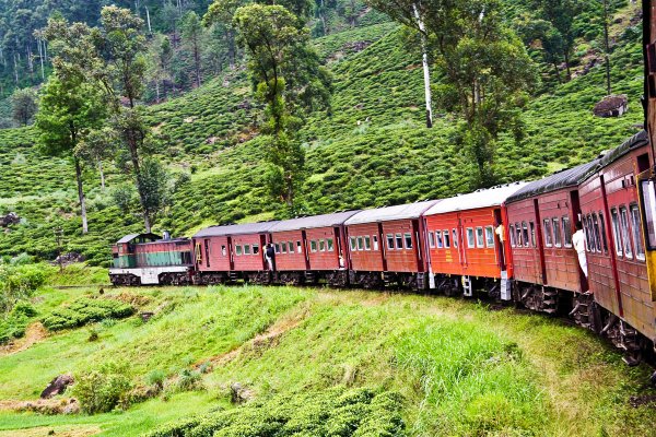 Nuwara Eliya