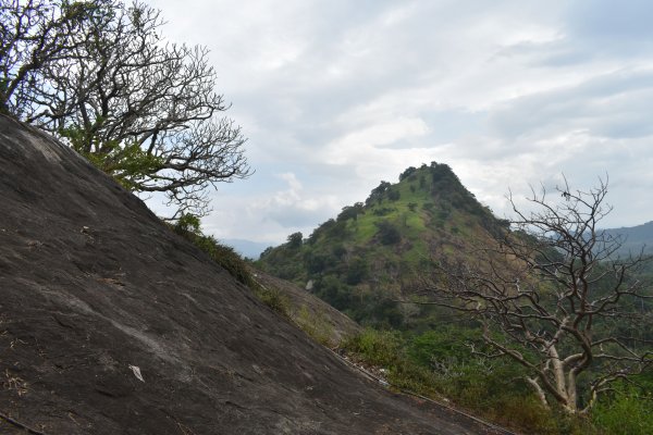 Dambulla cave temple visit