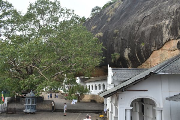 Dambulla cave temple visit