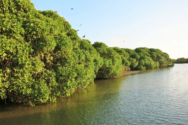 Negombo canal and beach boat ride