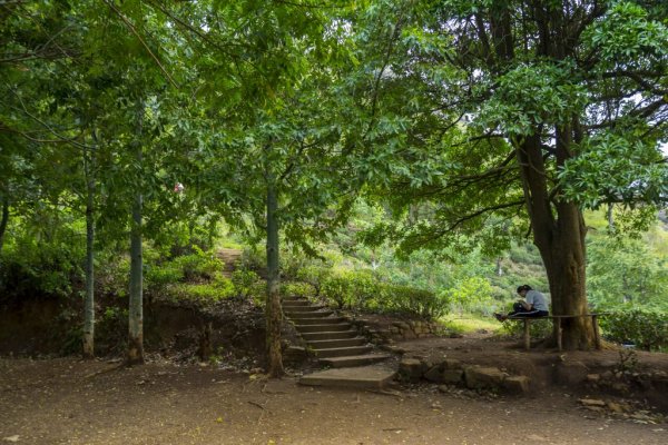 Little Adam's peak hike