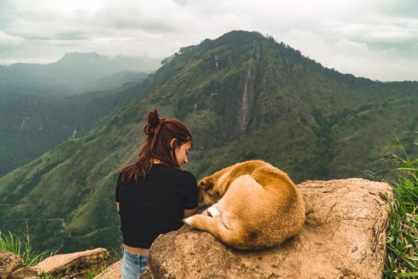 Little Adam's peak hike