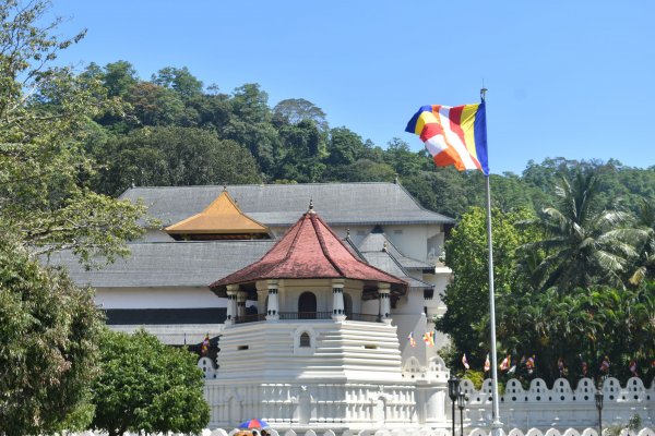 Visit Sri Dalada Maligawa Kandy (Temple of the tooth relic)