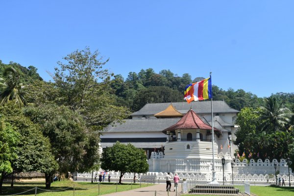 Visit Sri Dalada Maligawa Kandy (Temple of the tooth relic)