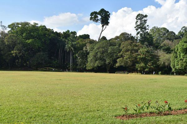 Visit Peradeniya botanical Garden