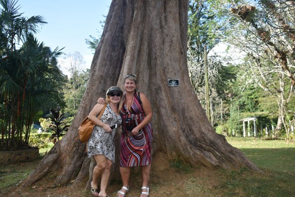 Visit Peradeniya botanical Garden