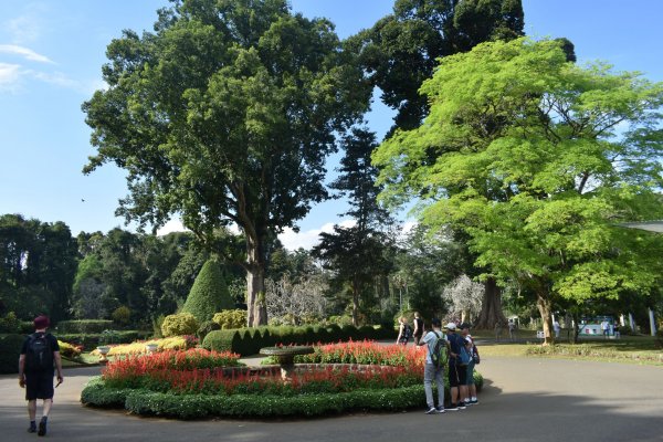 Visit Peradeniya botanical Garden