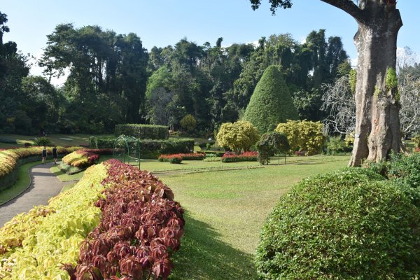 Visit Peradeniya botanical Garden