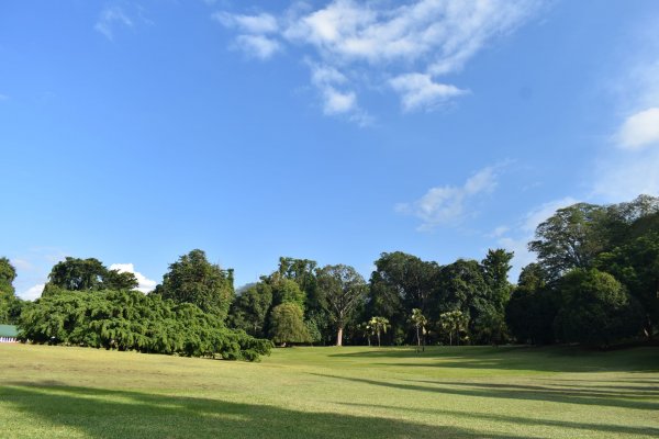 Visit Peradeniya botanical Garden