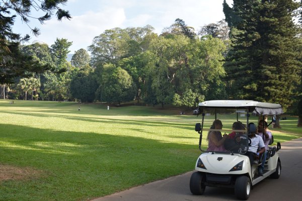 Visit Peradeniya botanical Garden