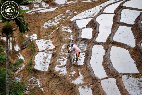 Heeloya trek