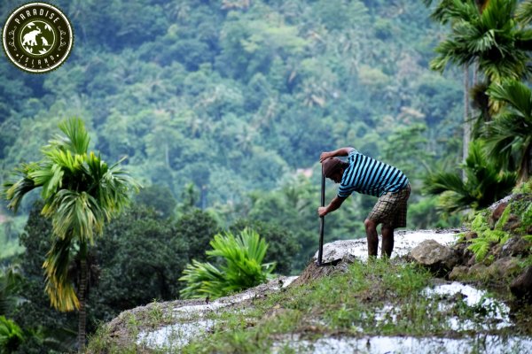 Heeloya trek