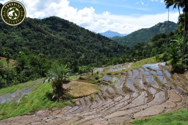 Heeloya trek