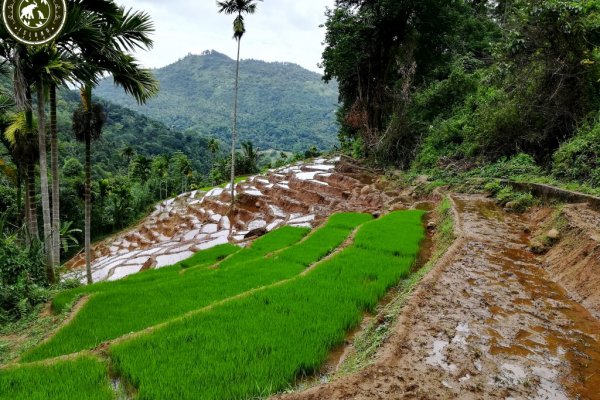 Heeloya trek