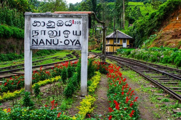 Scenic train ride from Nuwara Eliya to Ella
