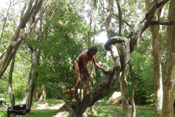 Visit Sri Lankan Aboriginals village (Veddha village)